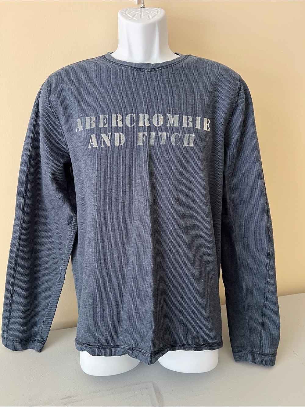 Abercrombie & Fitch Blue & Slate Gray Logo Crewneck Long sleeve Shirt